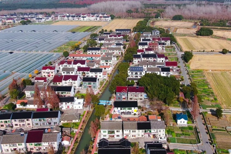 江南春景水一半，12处小流域绘青浦生态美域