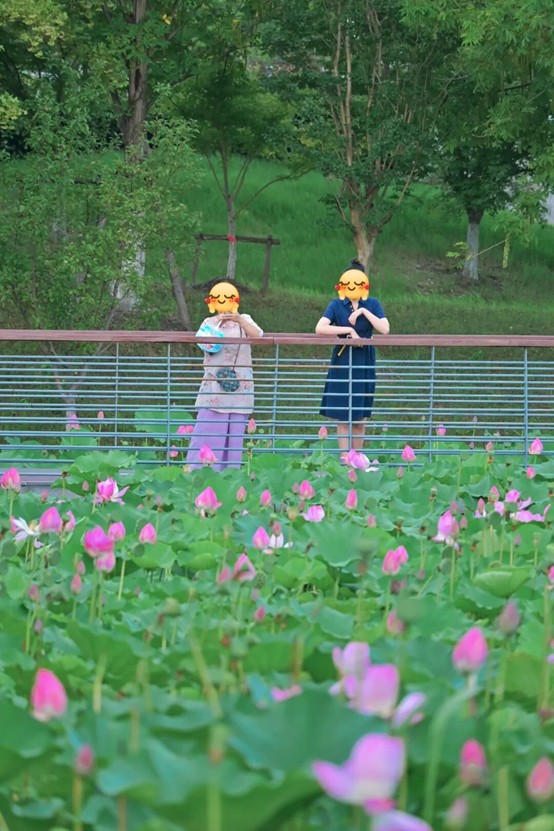 2026逛青浦环城水系公园指南