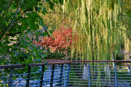 2026逛青浦环城水系公园指南