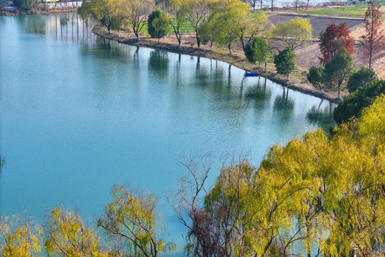 江南春景水一半，12处小流域绘青浦生态美域