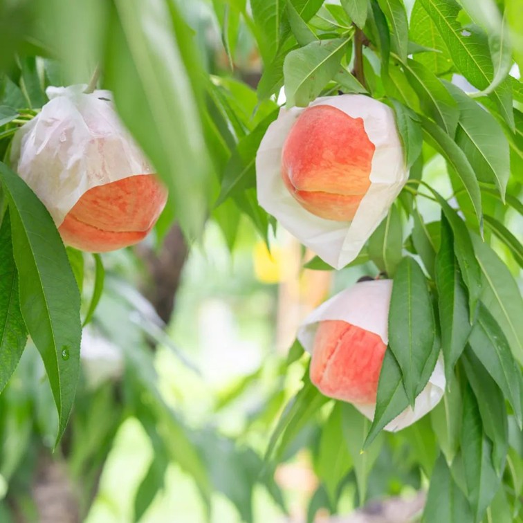 文旅商体展农资讯：青浦区2025年8月活动速览！