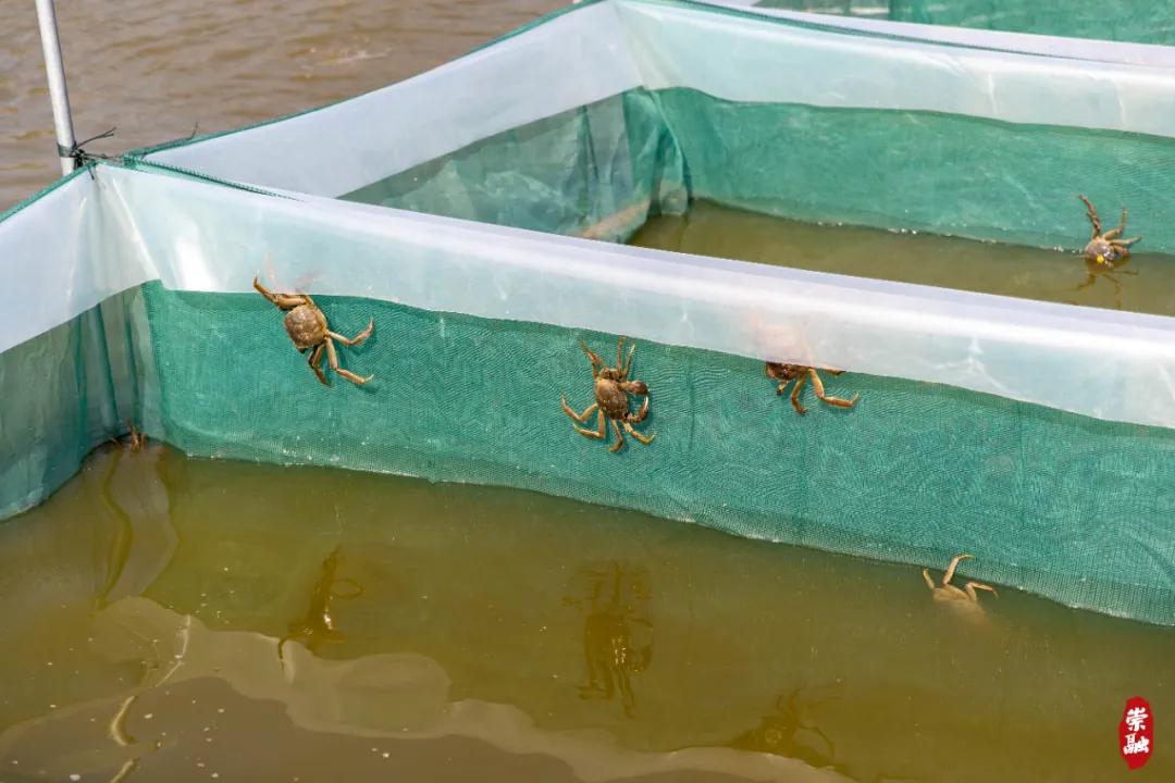 20241008152357058301.jpg 20241008152357058301.jpg