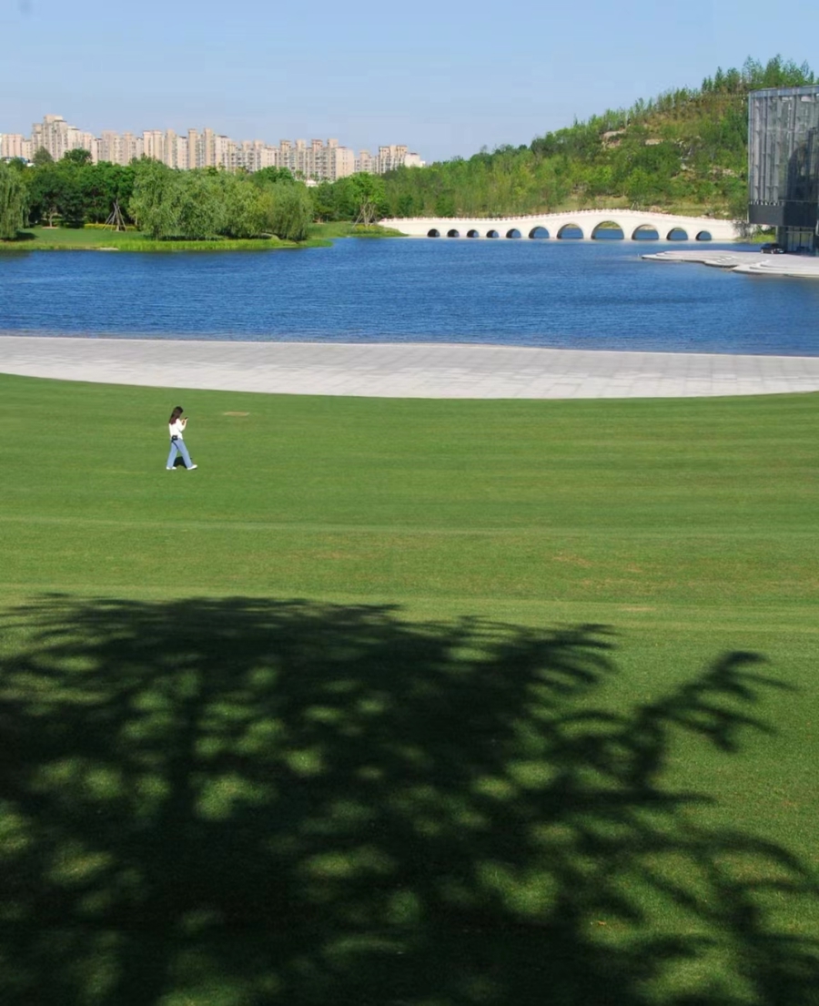 上海世博文化公园内的“阿勒泰草坪”。 资料图片.jpeg 上海世博文化公园内的“阿勒泰草坪”。 资料图片.jpeg