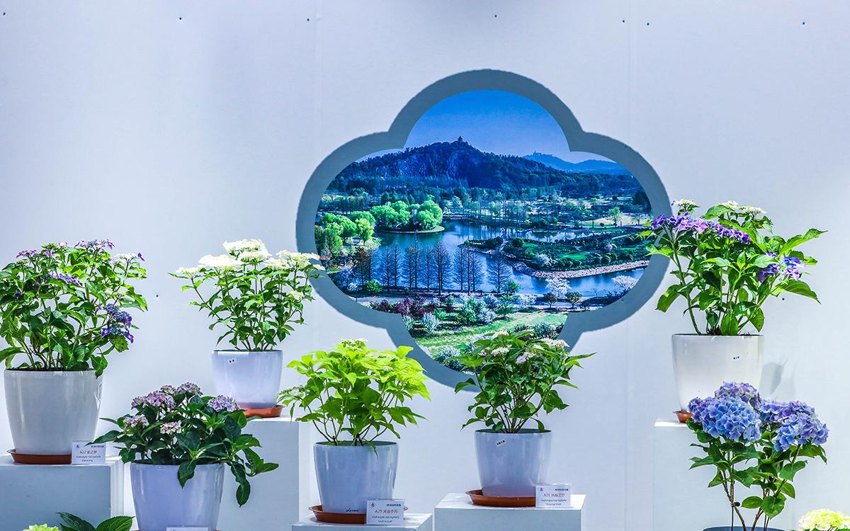 4、展厅 3.jpg 4、展厅 3.jpg