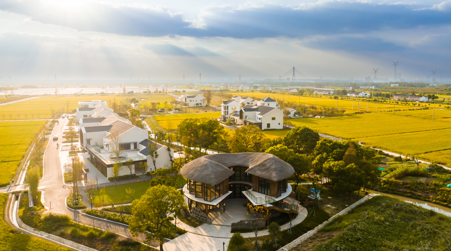 奉贤庄行镇打造集生态、休闲、体验及观光于一体的郊野公园.jpeg 奉贤庄行镇打造集生态、休闲、体验及观光于一体的郊野公园.jpeg