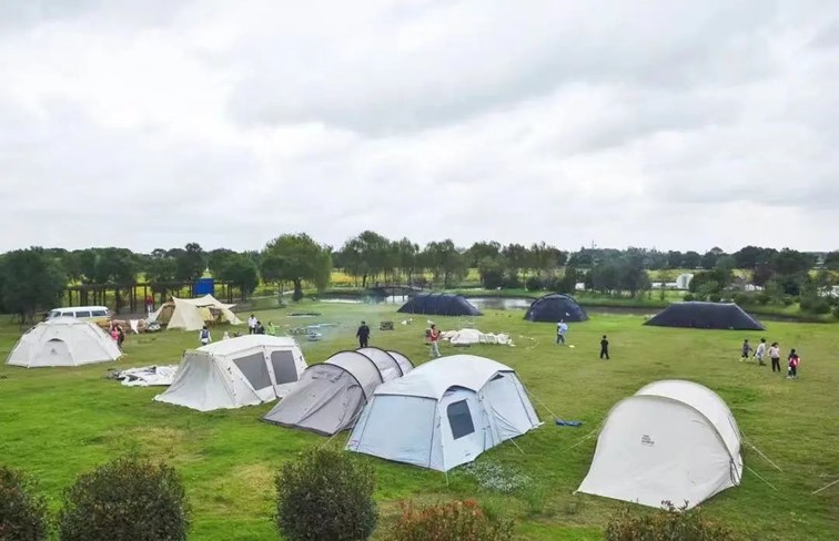 香满秋·一起游丨去青浦来场CountryWalk，遇见金秋盛景！