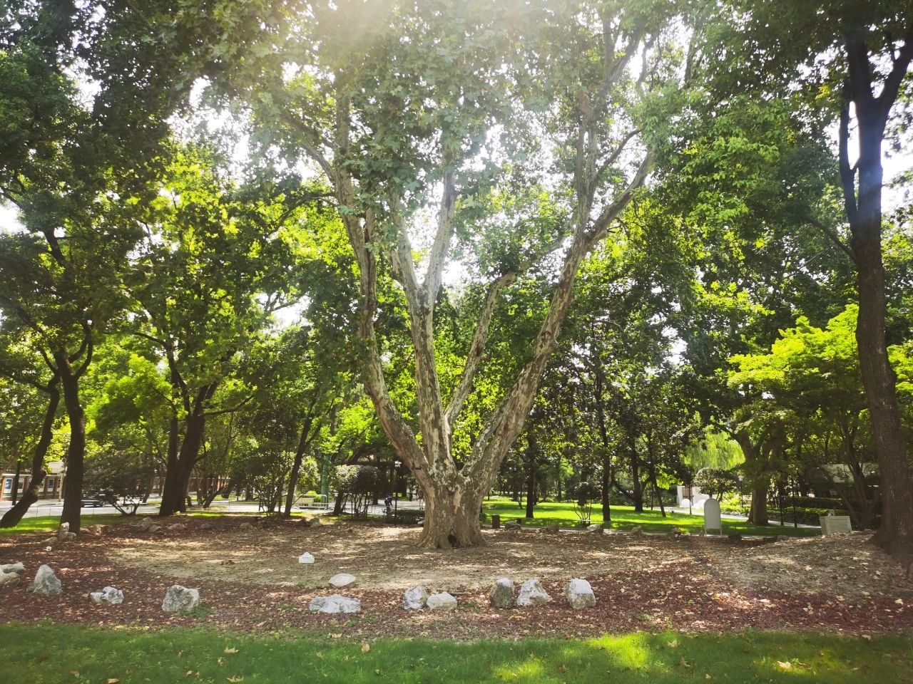 即将开放的长宁市民园艺中心迎来首批客人“探营”8.jpg 即将开放的长宁市民园艺中心迎来首批客人“探营”8.jpg