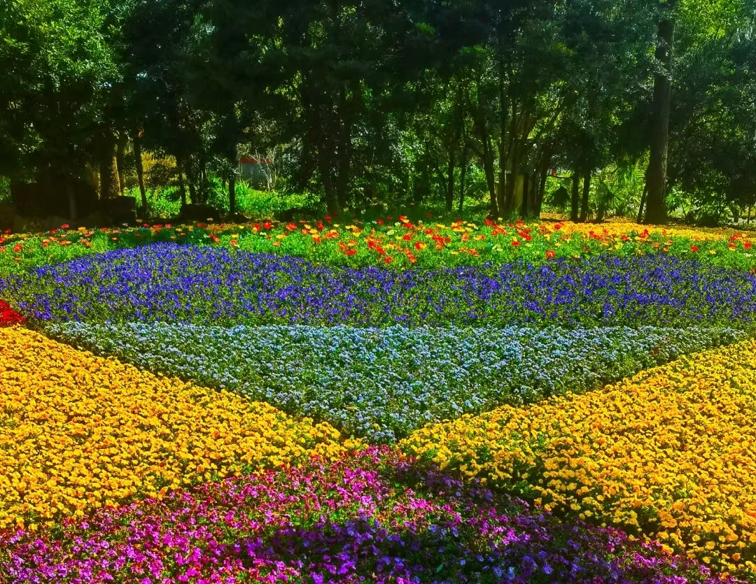 图片 9.png 图片 9.png