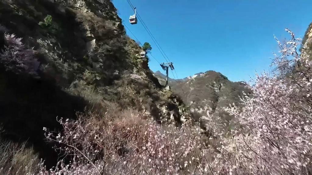 20250405f61a38edd7974e1aa57e903961fb6c68_2aefa37b74374356b0471e18cb8ca676.jpg 20250405f61a38edd7974e1aa57e903961fb6c68_2aefa37b74374356b0471e18cb8ca676.jpg