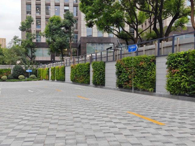 1119_122745_483.jpg 微信图片_20241119122632.jpg