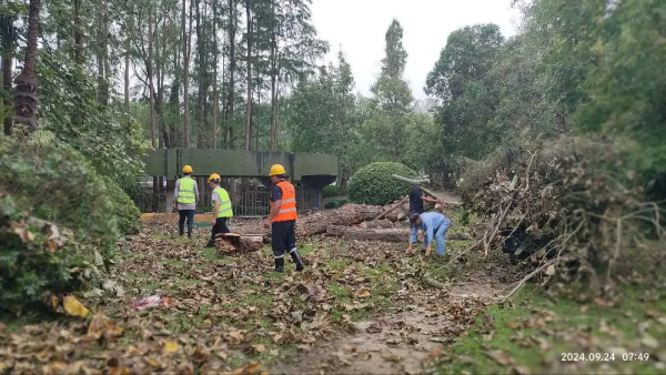 微信图片_20240925102644.png 微信图片_20240925102644.png