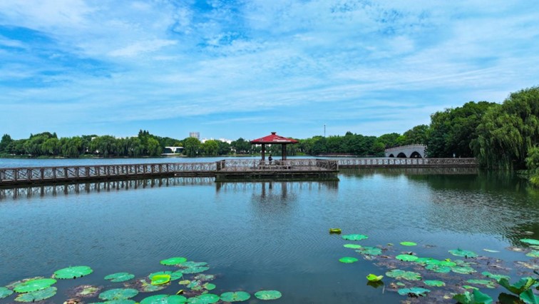 秋水伊人,来青浦,乘坐公共交通邂逅初秋水岸的一缕风凉! 秋水伊人,来青浦,乘坐公共交通邂逅初秋水岸的一缕风凉!