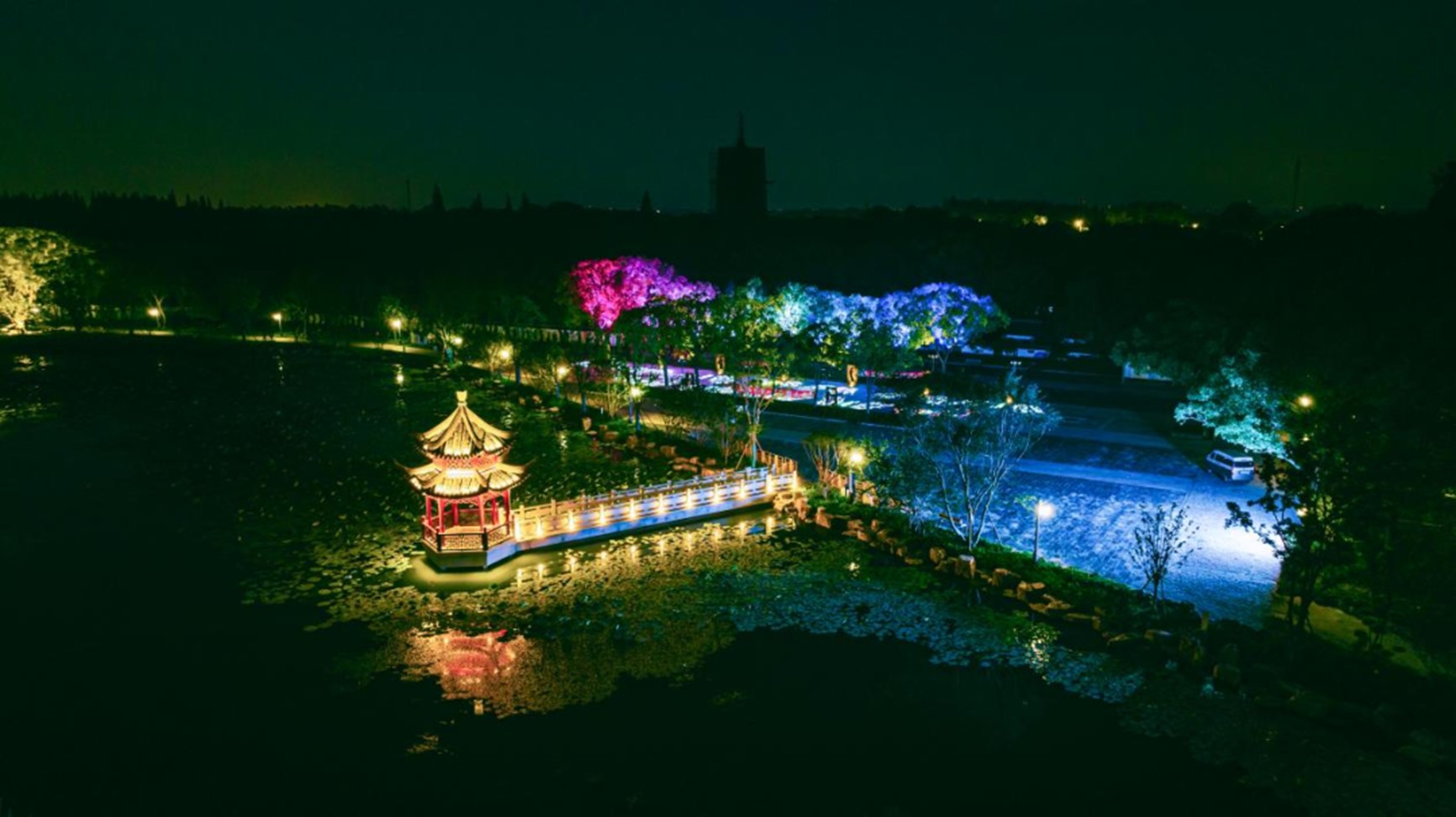 来青浦,捕捉水中秋色,寻觅“时光溢彩” 来青浦,捕捉水中秋色,寻觅“时光溢彩”