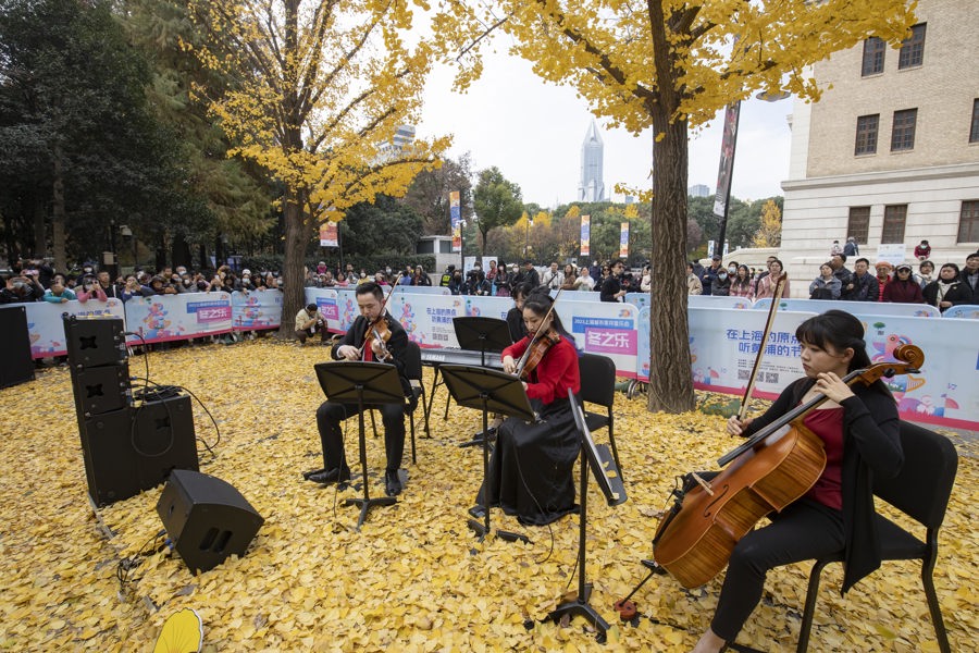银杏音乐会.jpeg