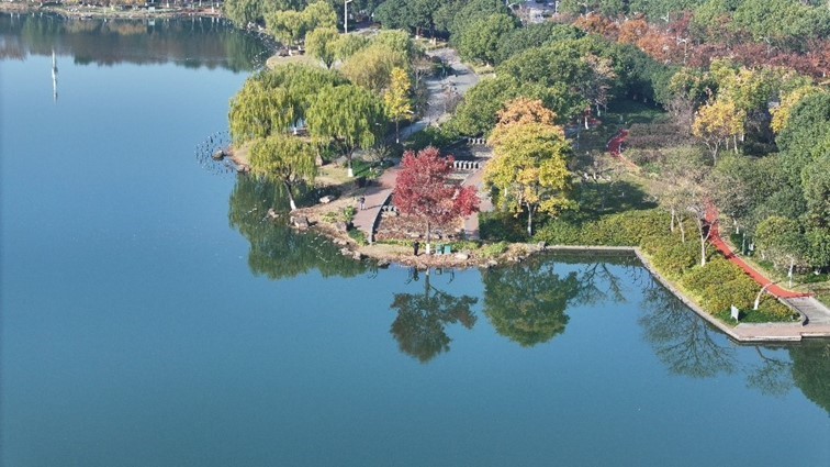 冬日“沪”水游，青浦新城：冬境绮梦，水韵流长