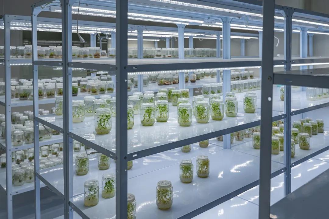 20241008152418073845.jpg 20241008152418073845.jpg