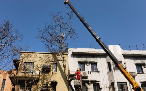 微信图片_20260311162439_446_40.jpg 微信图片_20260311162439_446_40.jpg