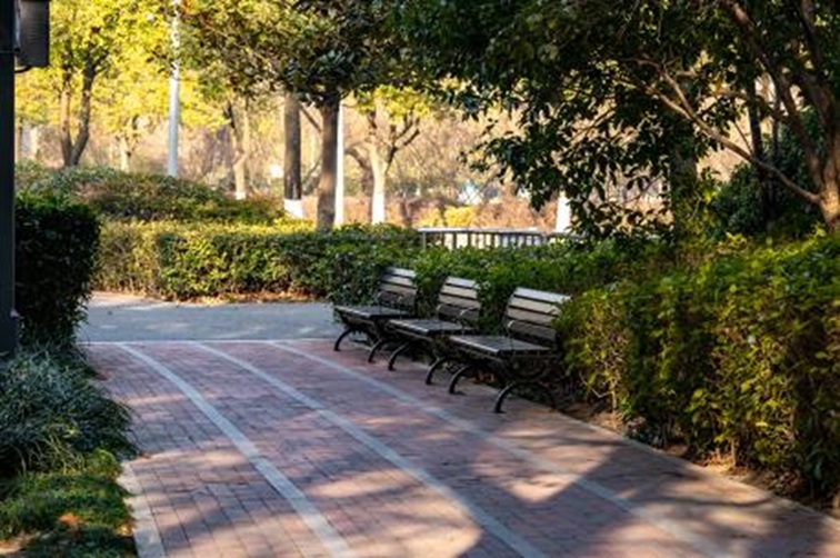 青浦河长:城中美湖,静谧安然 青浦河长:城中美湖,静谧安然