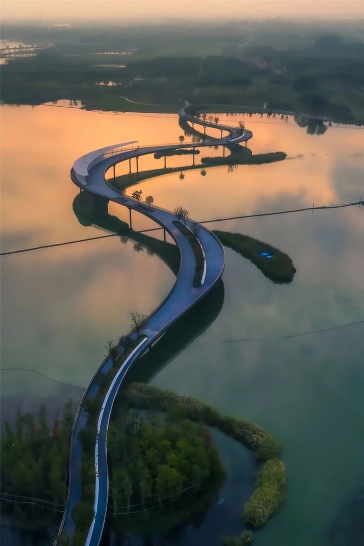 秋水伊人,来青浦,乘坐公共交通邂逅初秋水岸的一缕风凉! 秋水伊人,来青浦,乘坐公共交通邂逅初秋水岸的一缕风凉!