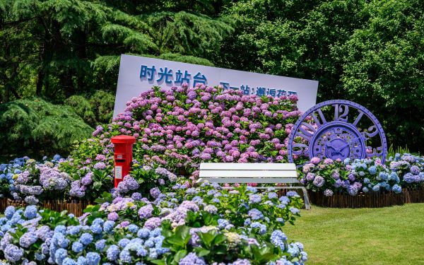 KIR_7696.jpg KIR_7696.jpg