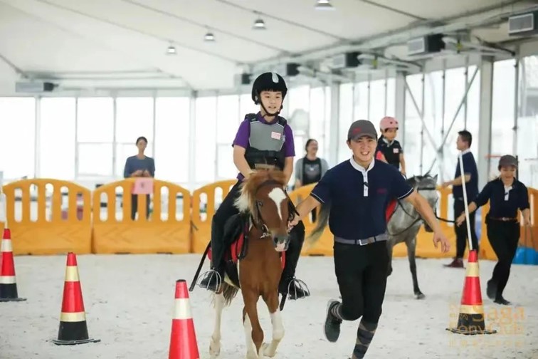 会·聚青浦|这条既City又Country的旅“行”,才是当代人的最爱! 会·聚青浦|这条既City又Country的旅“行”,才是当代人的最爱!