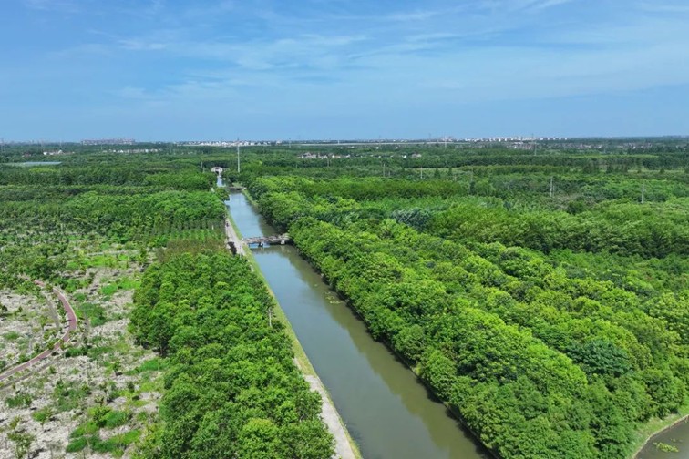 江南春景水一半，12处小流域绘青浦生态美域
