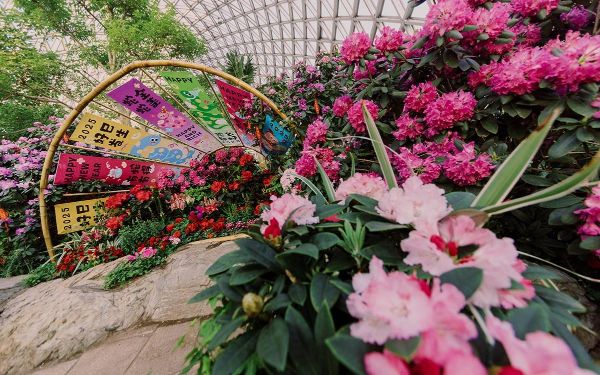 花映卷轴 (2).jpg 花映卷轴 (2).jpg