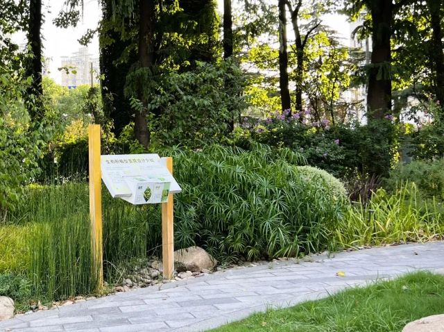 0812_141609_669.jpg 640 (21).jpg