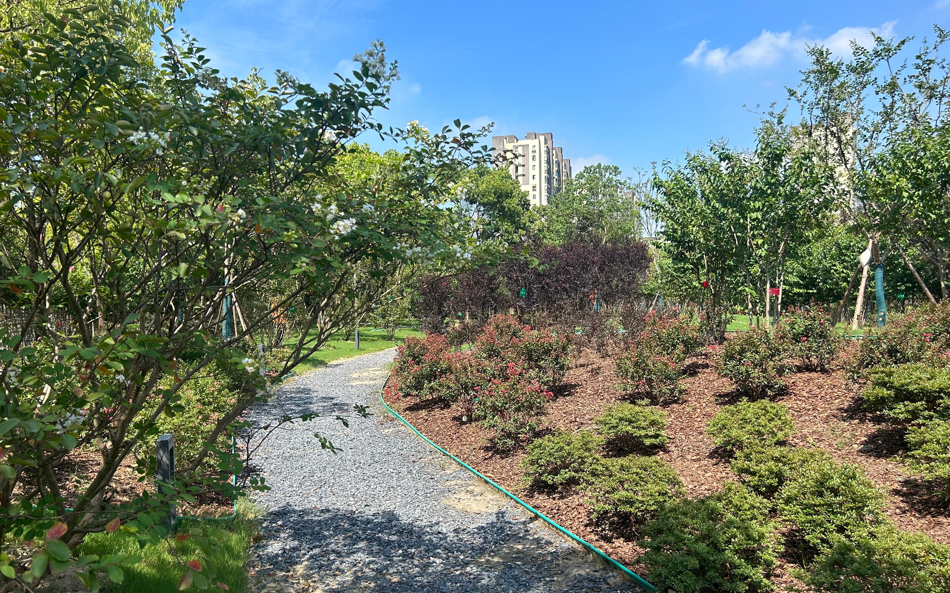 975d76bef81f3000cba87c77b3f080e.jpg 975d76bef81f3000cba87c77b3f080e.jpg