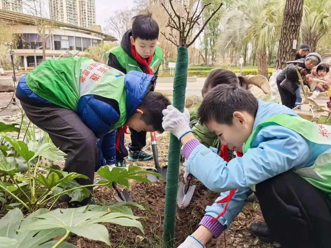 正文图片