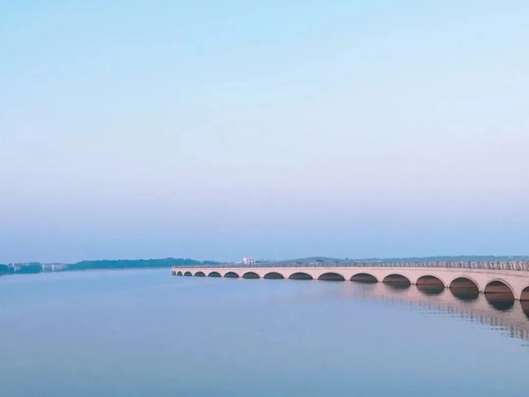 追风少年的春日漫游指南,带你邂逅青浦的N种风情! 追风少年的春日漫游指南,带你邂逅青浦的N种风情!