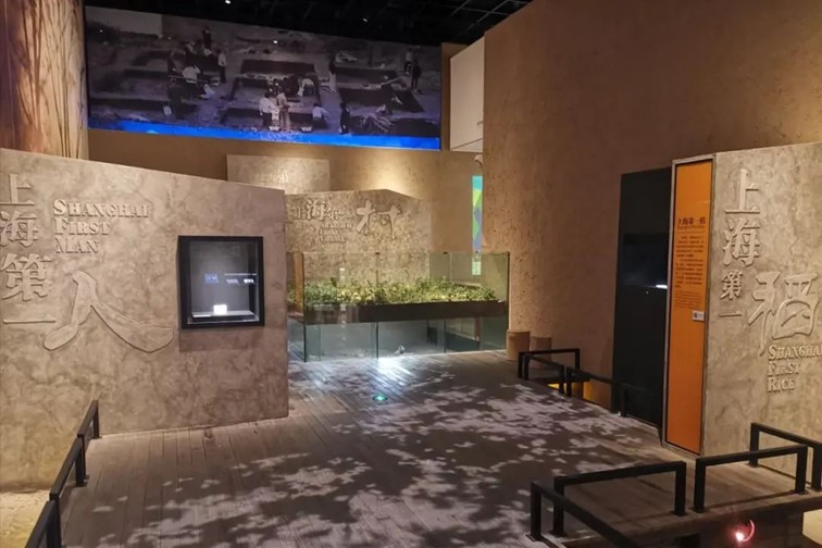 快高铁·慢生活｜开通啦！青浦上榜长三角“四季主题榜单”和十大主题线路！