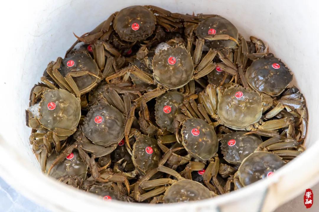 20241008152342090449.jpg 20241008152342090449.jpg