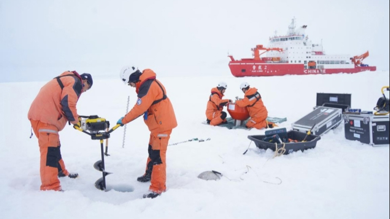 这是考察队在北极点附近的冰站调查作业现场(9月5日摄).jpeg 这是考察队在北极点附近的冰站调查作业现场(9月5日摄).jpeg