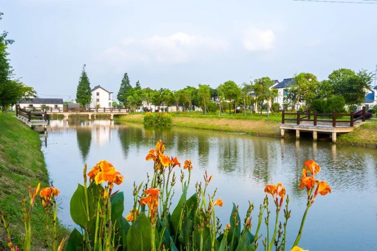 江南春景水一半，12处小流域绘青浦生态美域