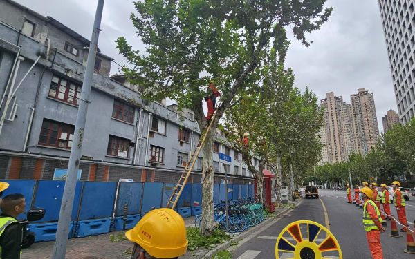 微信图片_20251030144234_237_15.jpg 微信图片_20251030144234_237_15.jpg