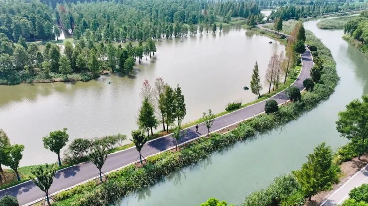 追风少年的春日漫游指南,带你邂逅青浦的N种风情! 追风少年的春日漫游指南,带你邂逅青浦的N种风情!