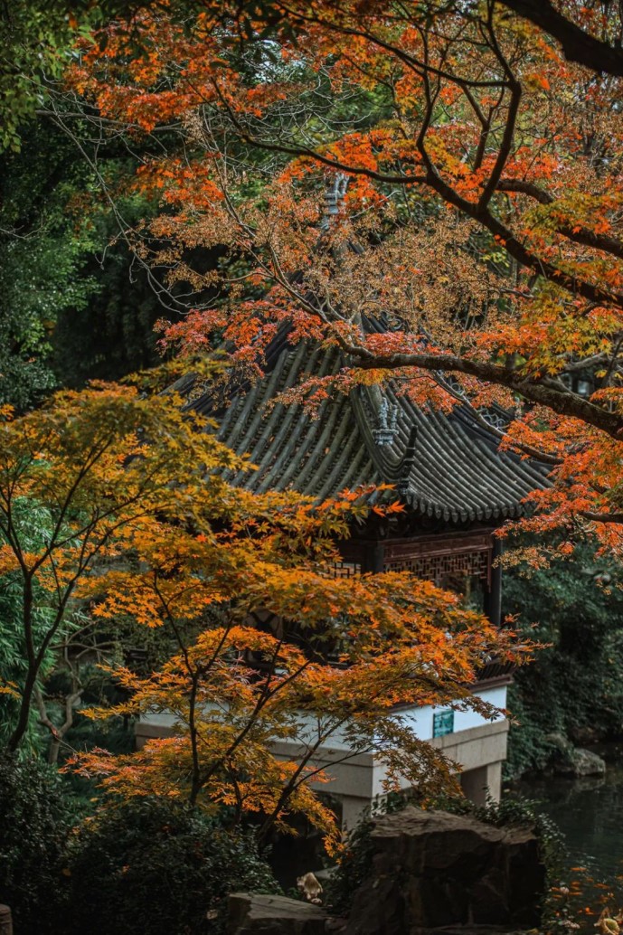 会·聚青浦|来青浦捕捉秋色,观看一场五彩缤纷的秋天童话剧! 会·聚青浦|来青浦捕捉秋色,观看一场五彩缤纷的秋天童话剧!