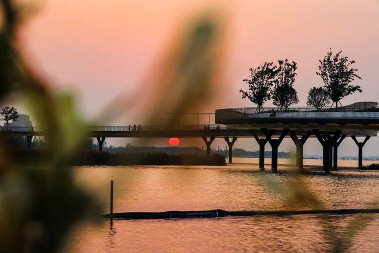 会·聚青浦|这条既City又Country的旅“行”,才是当代人的最爱! 会·聚青浦|这条既City又Country的旅“行”,才是当代人的最爱!