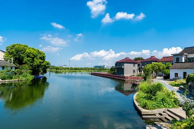 江南春景水一半，12处小流域绘青浦生态美域