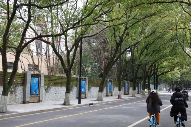 0814_131037_210.jpg 微信图片_20240814103130.jpg