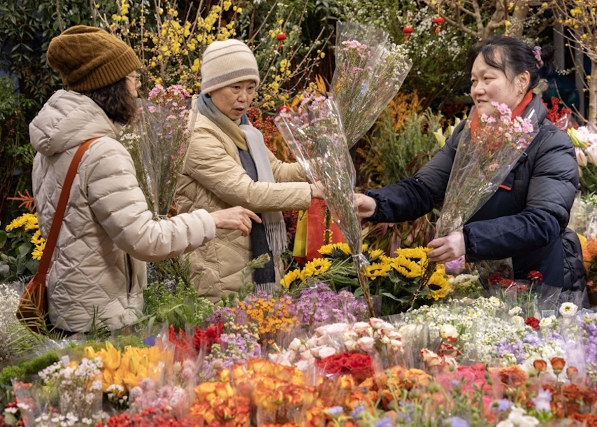 确立特色打造“花经济” 委员建议优化花卉品牌培育 创新花文化体系