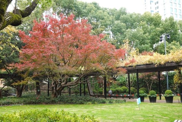 1216_131016_737.jpg 微信图片_2024-12-16_130546_489.png