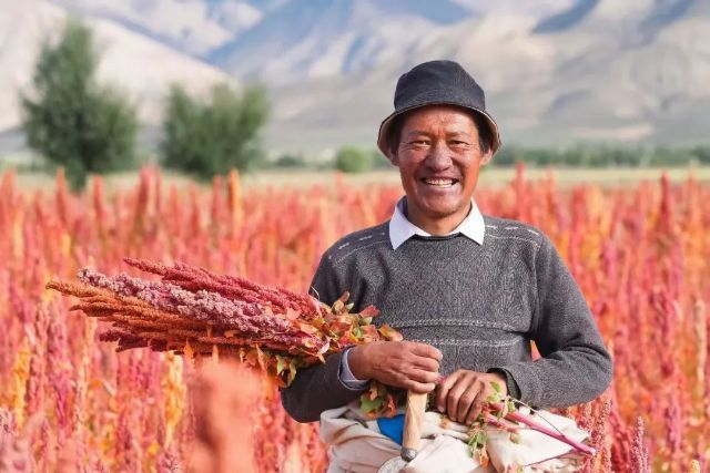 1012_134646_632.jpg 微信图片_20241012105810.jpg