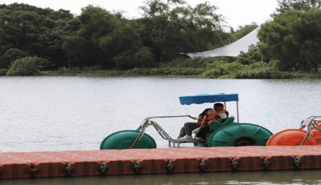 来青浦，燃动新年，爱满绿舟！2025元旦迎新骑跑活动火热招募中！