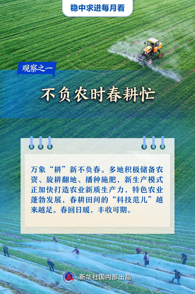 观察之一:不负农时春耕忙.jpeg 观察之一:不负农时春耕忙.jpeg