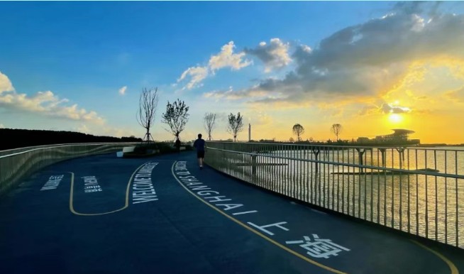 2026年春季来青浦泛艇+骑行，这两条路线包出片的~