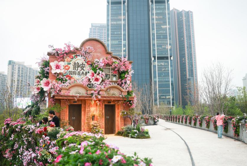 上海国际花卉节更名背后蕴藏转型之力 全城花海 化流量为增量