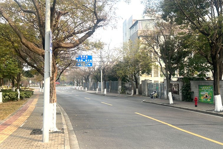 青浦+3！这些高标准保洁区域（道路）不容错过~