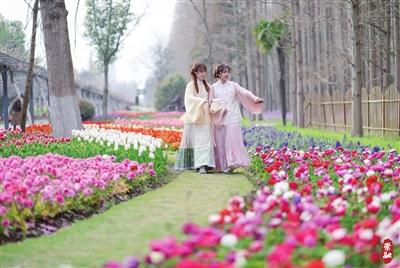 20240925140045054835.jpg 20240925140045054835.jpg